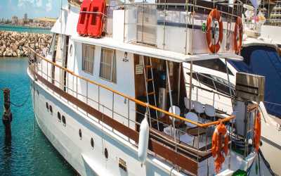 Dream of Turtles ST Georgios II rejs poranny z Salamis, Bafra - marzenie zobaczyć żółwie dla rodzin z Cape Greco i Larnaką